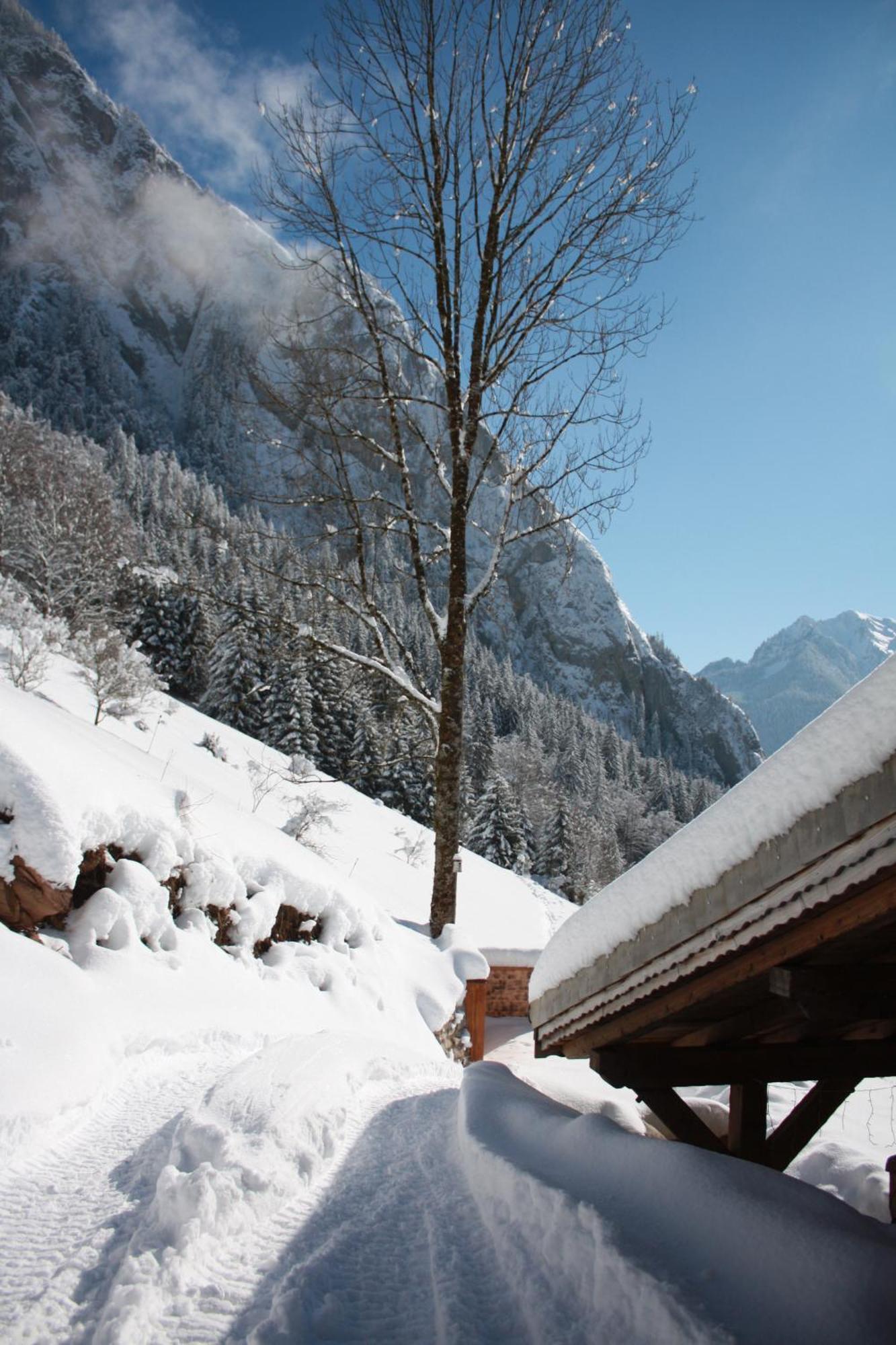 La Case Bed & Breakfast Abondance Bagian luar foto
