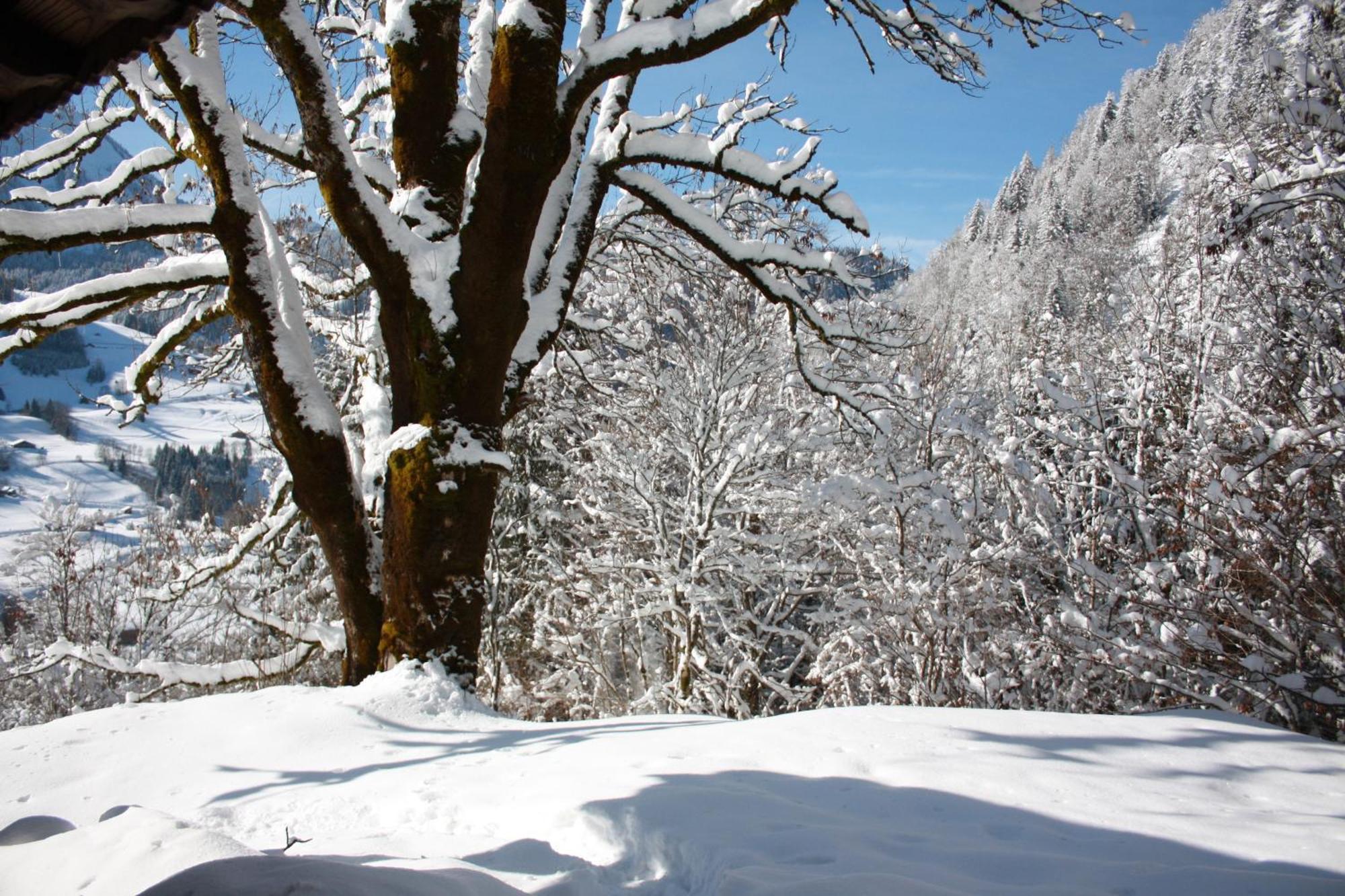 La Case Bed & Breakfast Abondance Bagian luar foto
