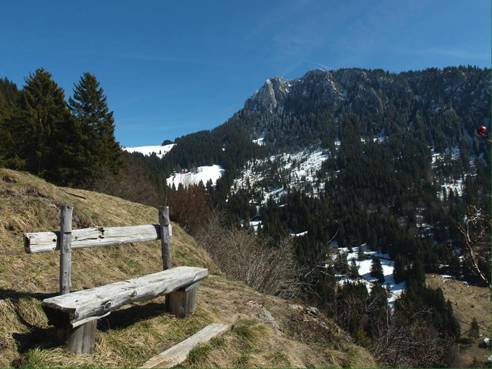 La Case Bed & Breakfast Abondance Bagian luar foto